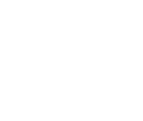 Visit Florida Logo