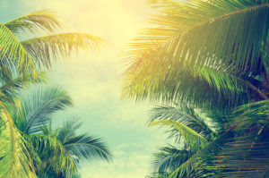 Featured Event - End of Summer Bash
