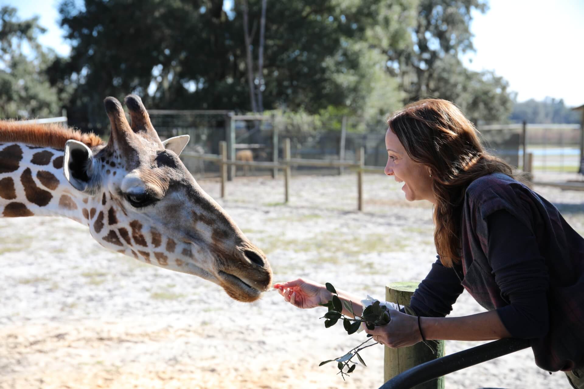 Dade City Florida's Sports Coast