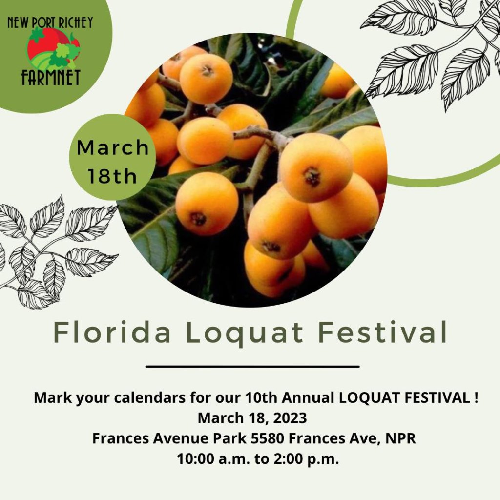 Florida Loquat Festival Florida's Sports Coast